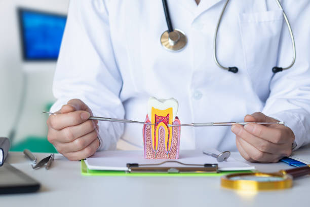 Best Emergency Root Canal Treatment in Garden City South, NY